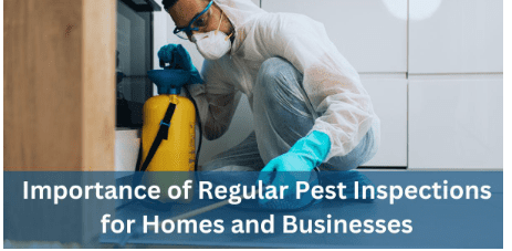 The Importance Of Regular Pest Inspections