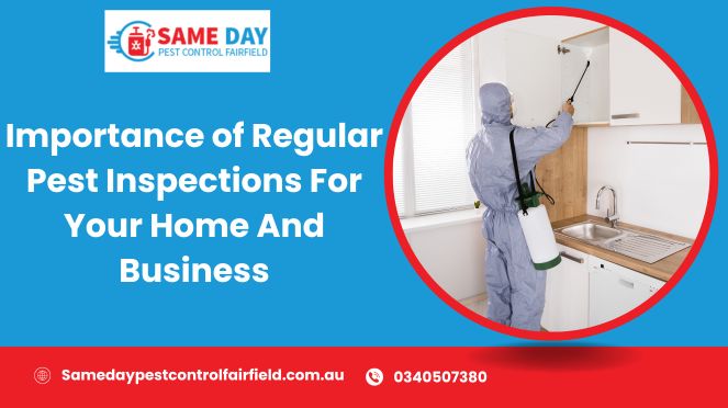 The Importance Of Regular Pest Inspections For Businesses