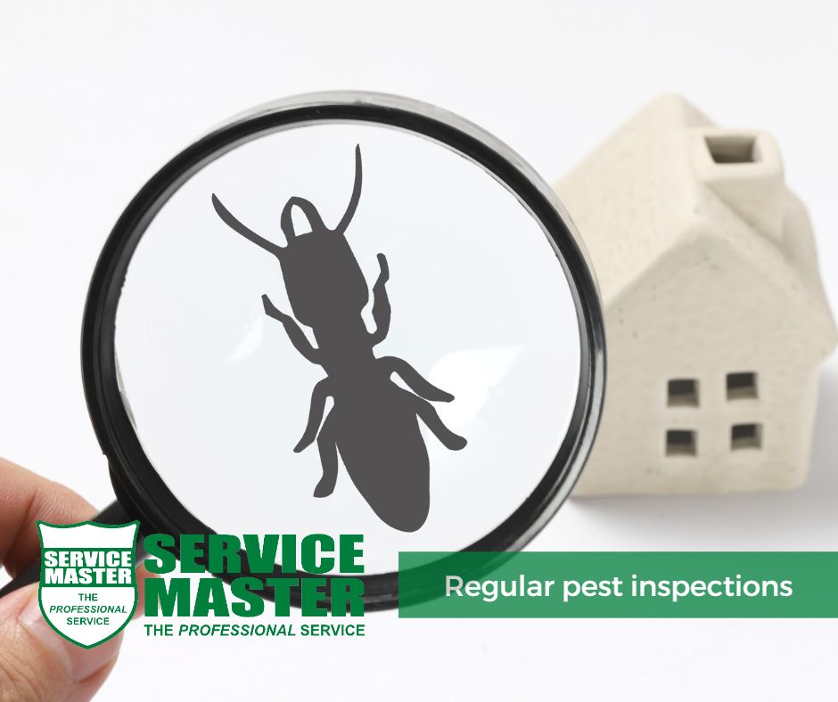 The Importance Of Regular Pest Inspections