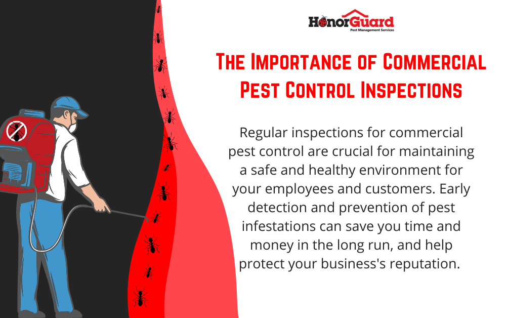 The Importance Of Regular Pest Inspections