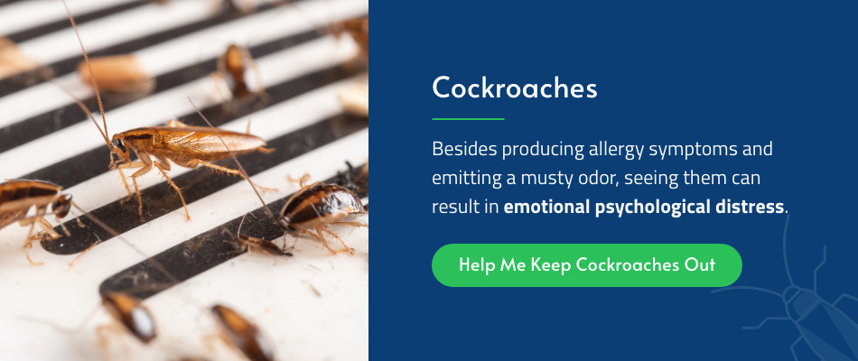 The Psychological Impact Of Pest Infestations