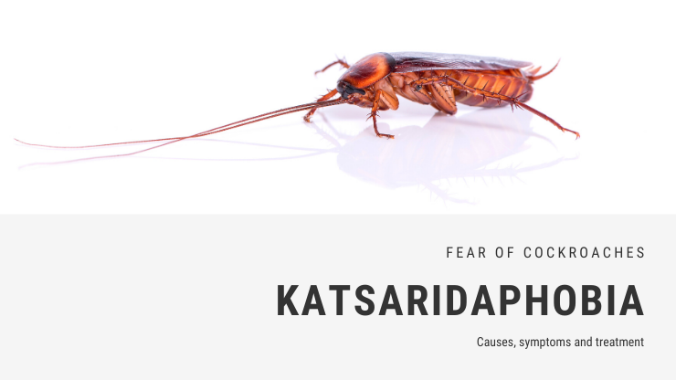 The Psychology Behind Fear Of Pests
