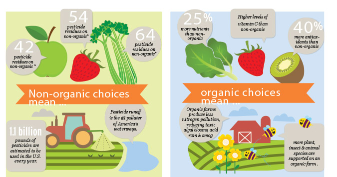 The Rise Of Organic Insecticides: Are They Effective?