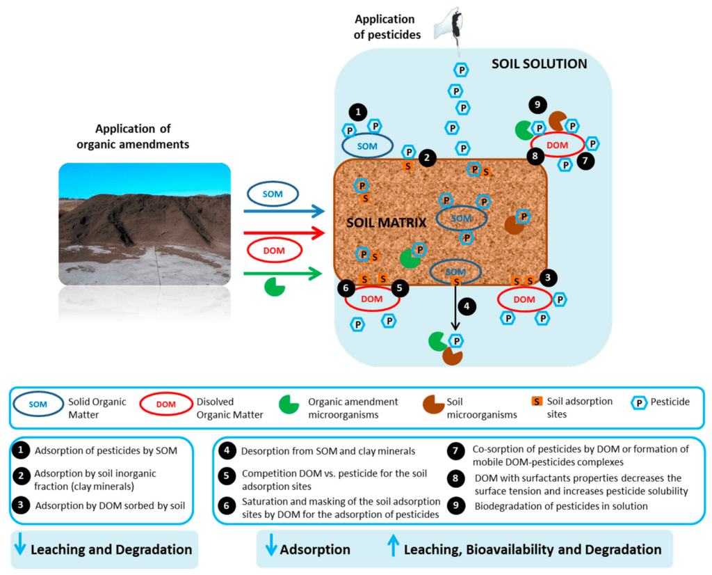 The Rise Of Organic Insecticides: Are They Effective?