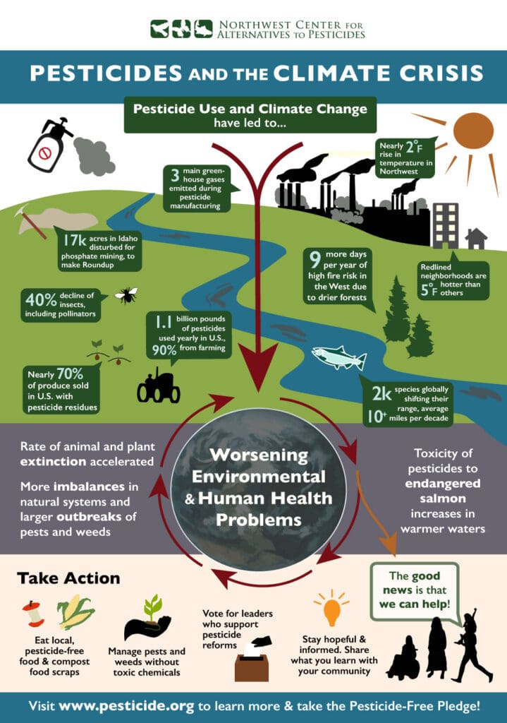 The Rise Of Organic Insecticides: Are They Effective?