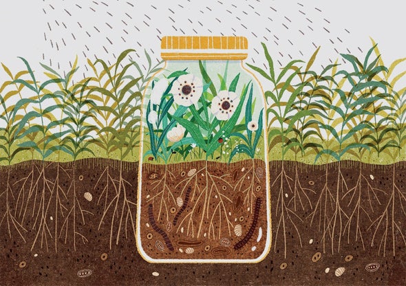 The Rise Of Organic Insecticides: Are They Effective?