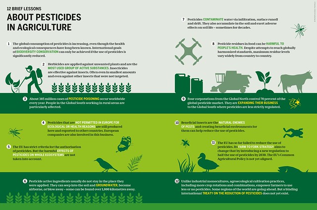 The Rise Of Organic Insecticides: Are They Effective?