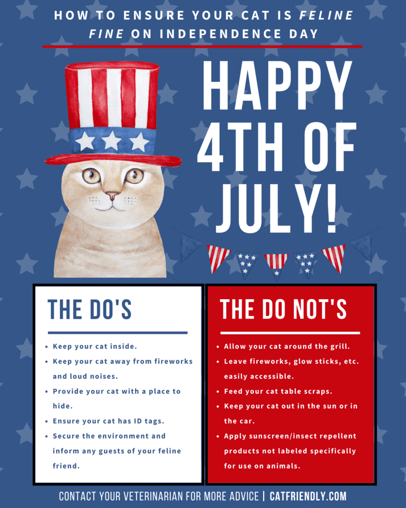 The Role Of Cats During Pest Control: Safety Tips