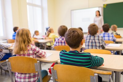 The Role Of Education In Preventing Pest Infestations
