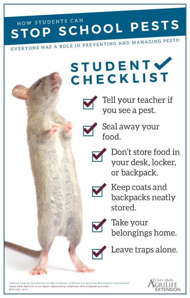 The Role Of Education In Preventing Pest Infestations