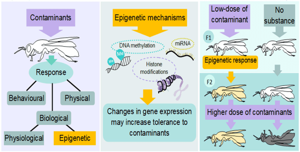 The Role Of Genetics In Pest Behavior