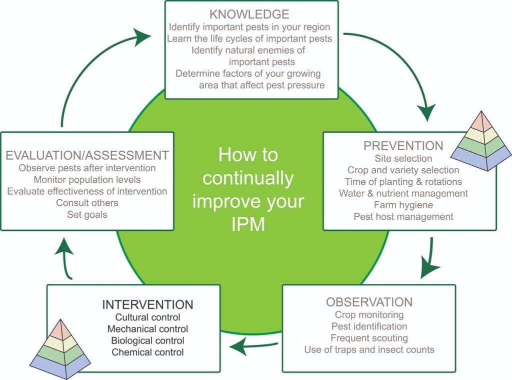 The Role Of Government In Regulating Pest Control Practices