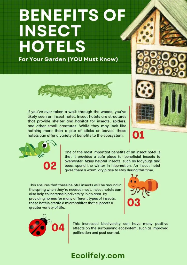 The Role Of Insect Hotels In Promoting Beneficial Bugs