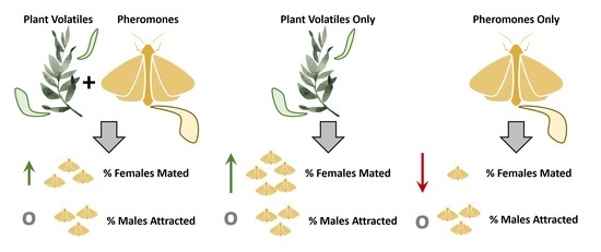 The Role Of Pheromones In Modern Pest Control