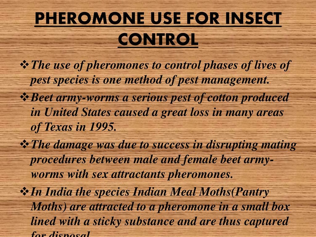 The Role Of Pheromones In Pest Control