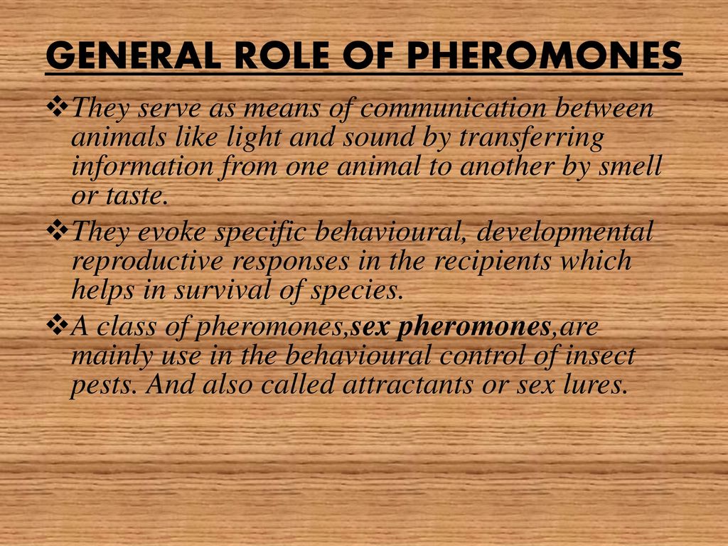 The Role Of Pheromones In Pest Control