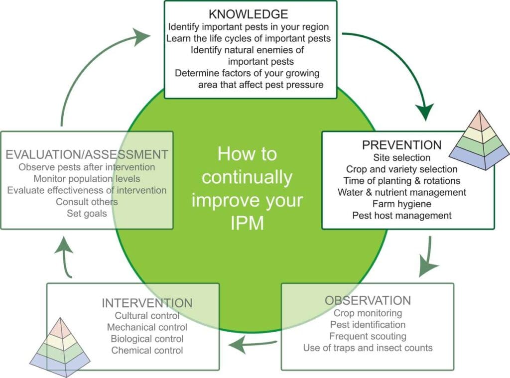 The Role Of Soil Health In Preventing Pest Infestations