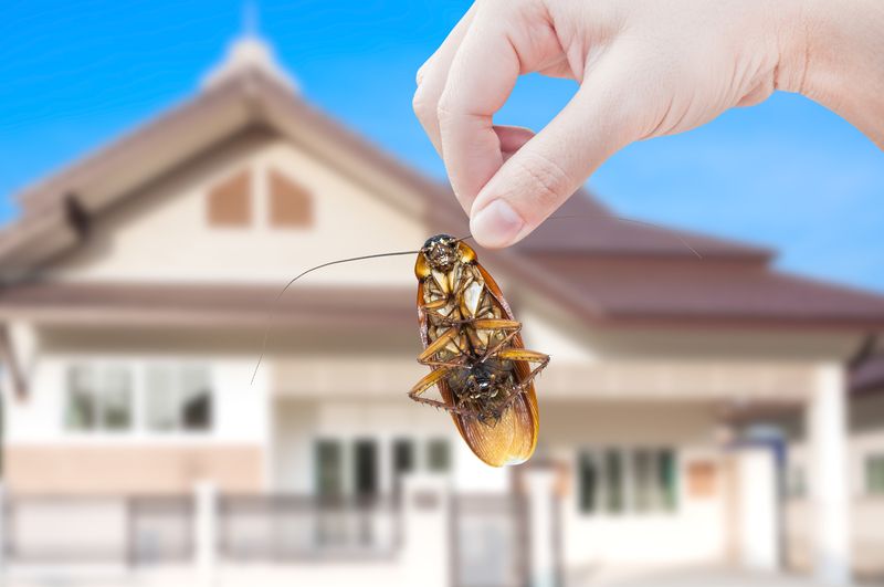 The Role Of Technology In Modern Pest Control