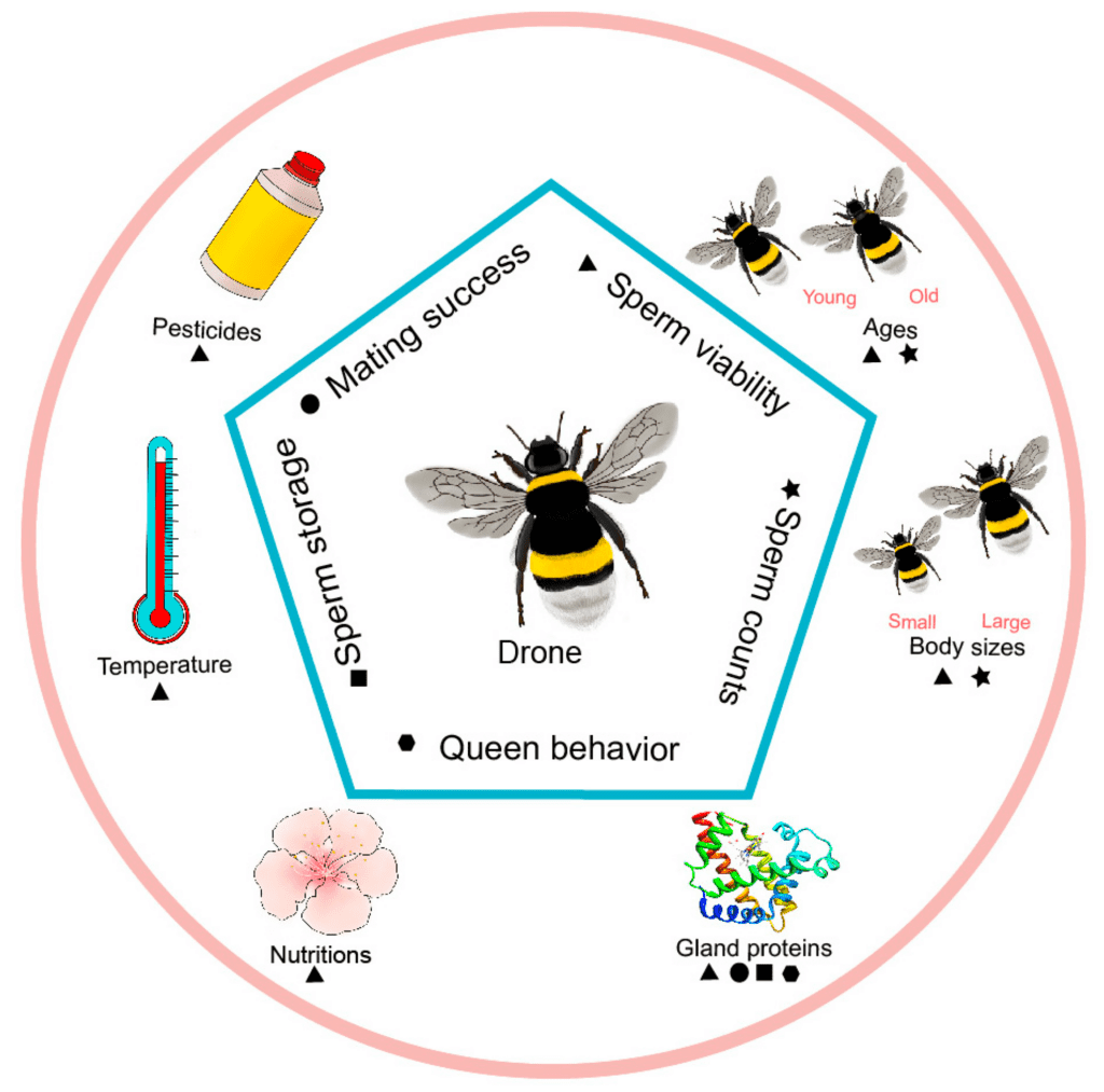 The Science Behind Insect Reproduction And Growth