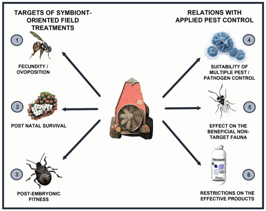 The Science Behind Insect Vision And How It Affects Pest Control