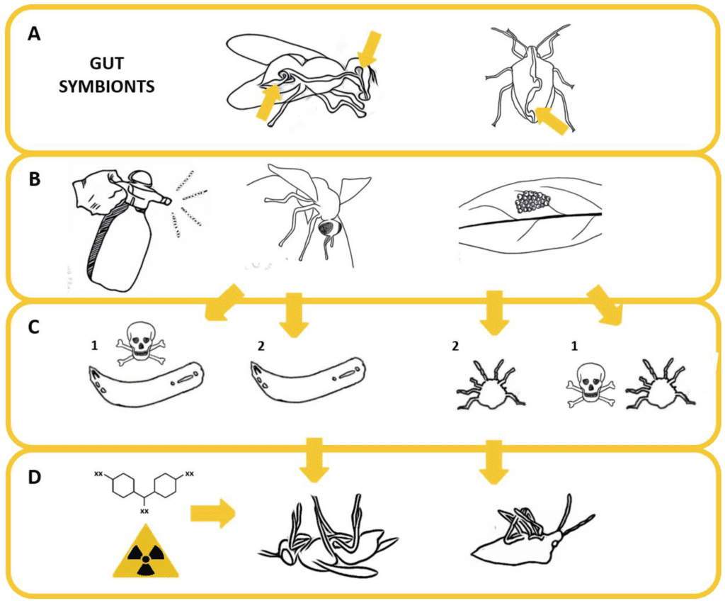 The Science Behind Insect Vision And How It Affects Pest Control