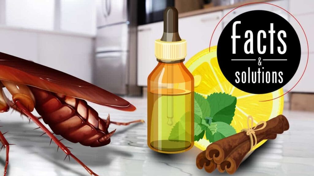 The Science Behind Natural Roach Repellents