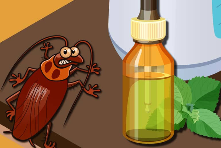 The Science Behind Natural Roach Repellents