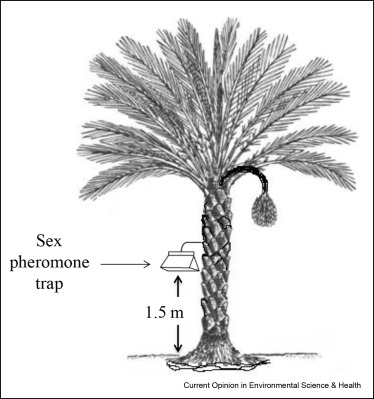 The Science Behind Pheromone Traps
