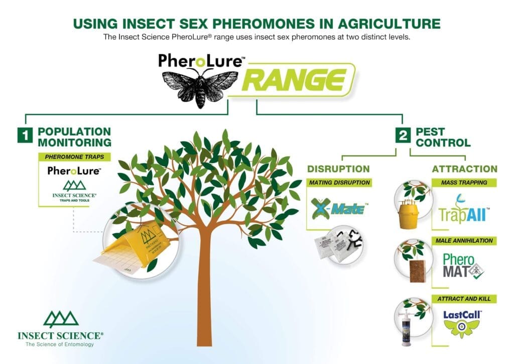 The Science Of Pheromones In Pest Control