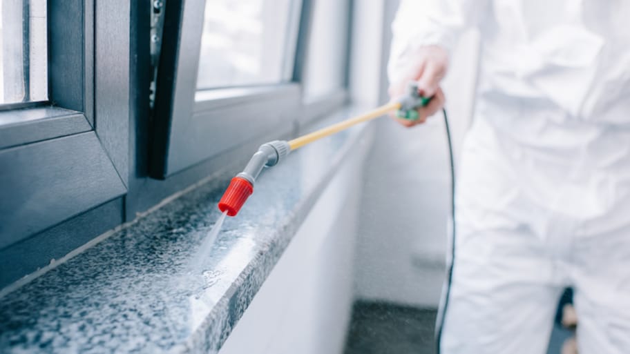 The True Cost Of Pest Control: Breaking Down The Numbers | Pest Control'd