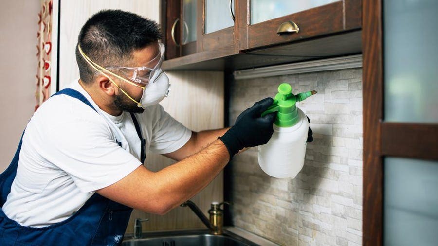 The True Cost Of Pest Control: Breaking Down The Numbers