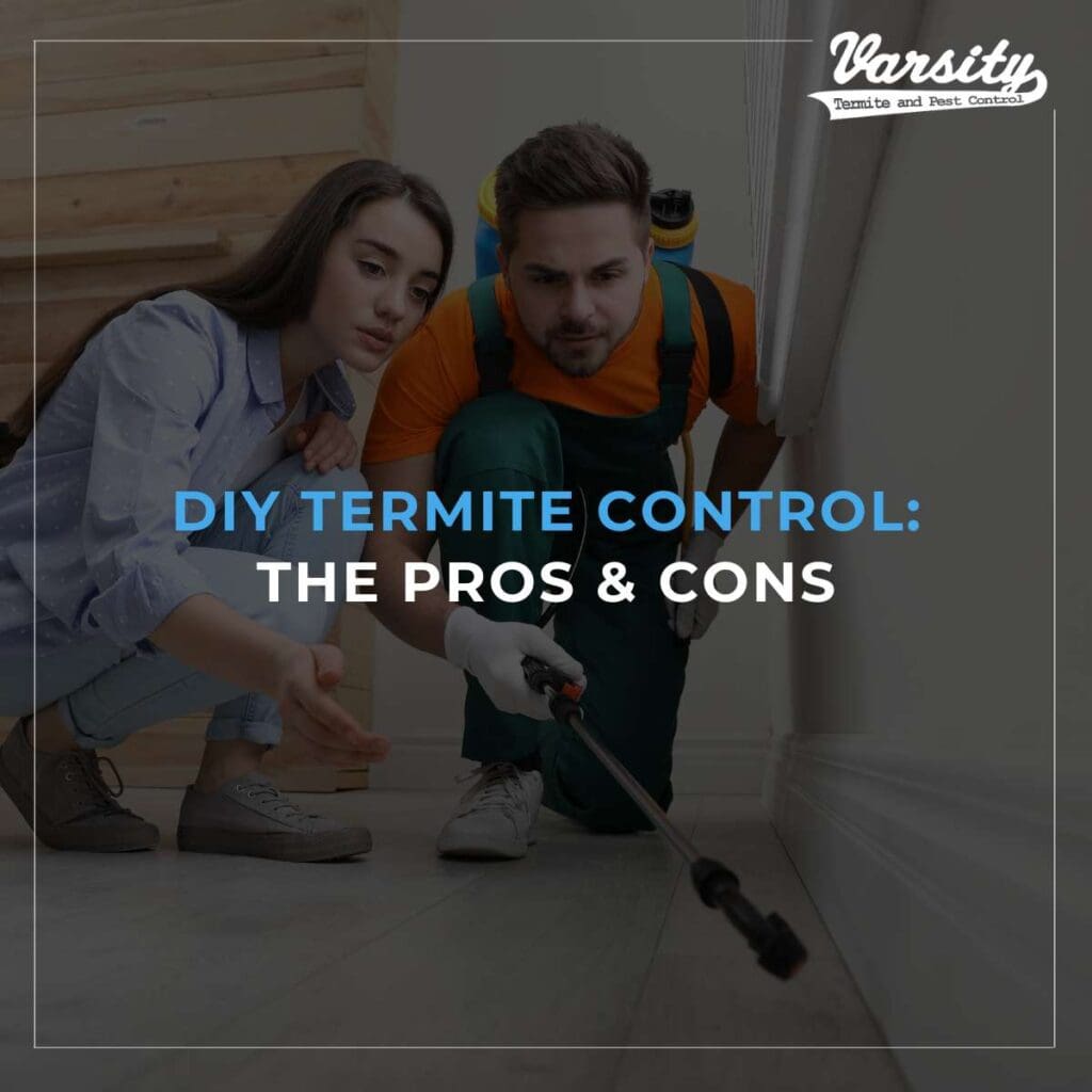 The Truth About DIY Pest Control: Pros And Cons