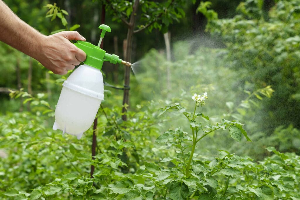 The Truth About DIY Pest Control: Pros And Cons