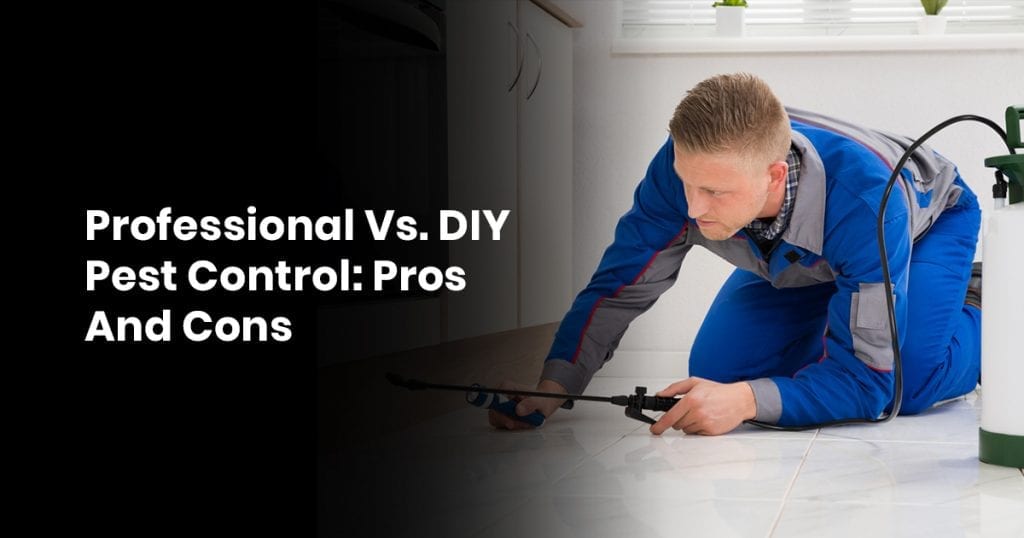 The Truth About DIY Pest Control: Pros And Cons