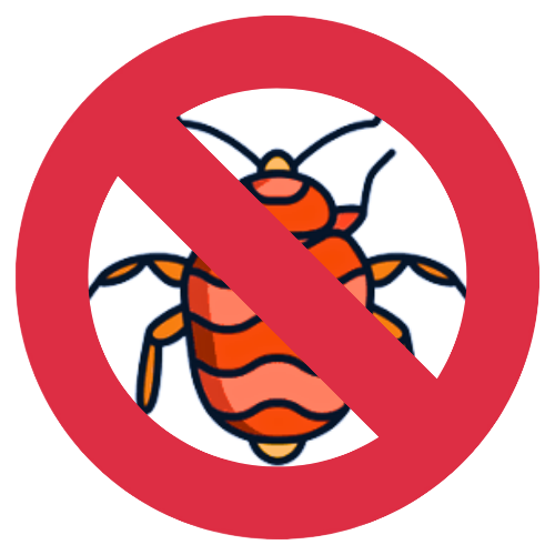The Ultimate Guide To Bedbug Treatment And Prevention