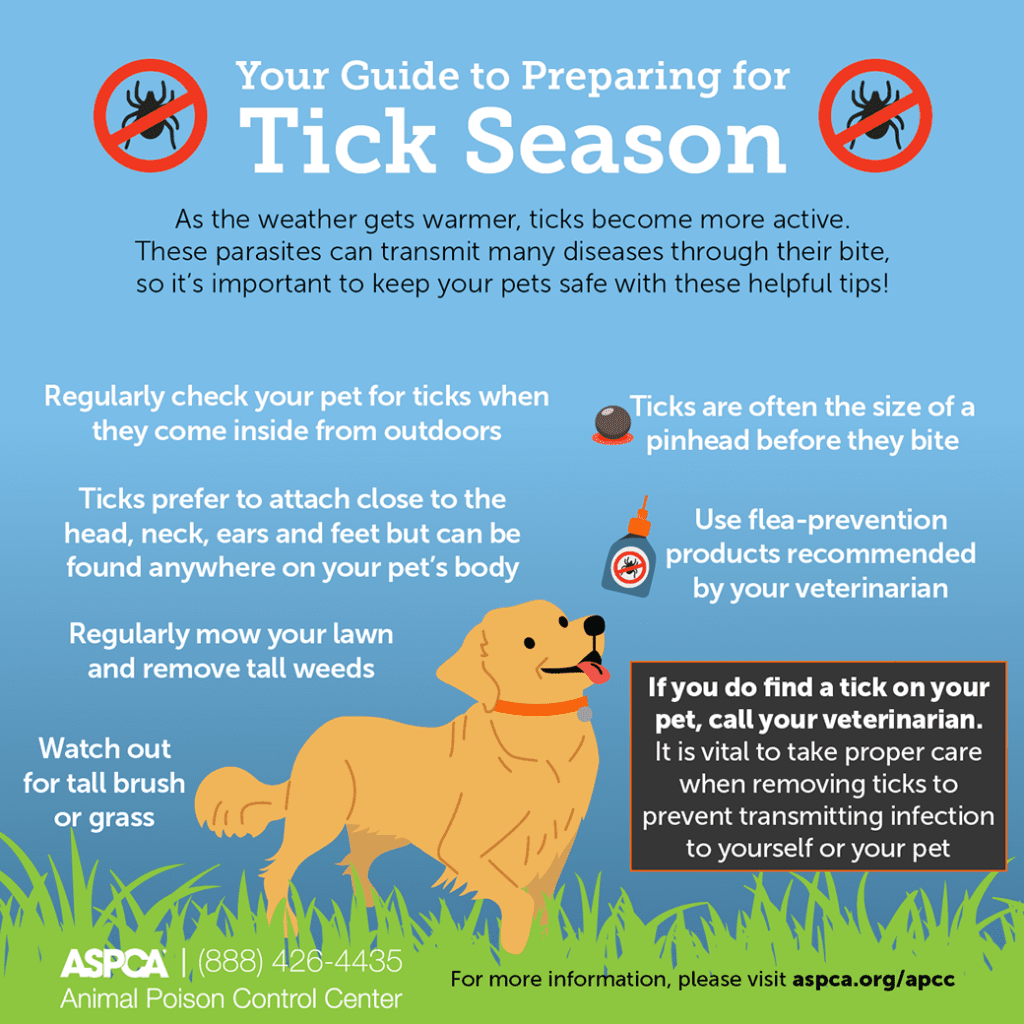 The Ultimate Guide To Tick Prevention And Treatment