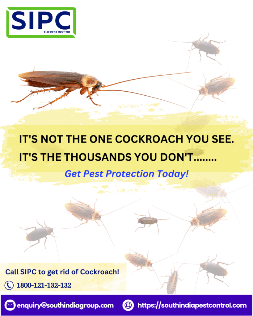 The Unseen Threat: Recognizing And Dealing With Cockroach Infestations